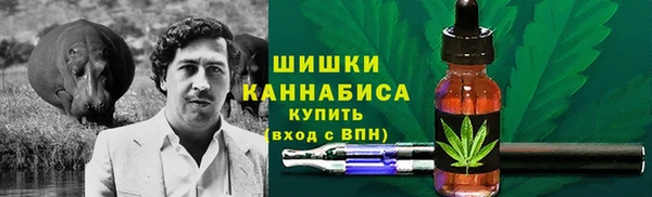 тгк Арсеньев