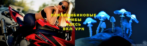 тгк Арсеньев